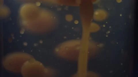 Close-up of an orange lava lamp in the dark. Abstract Composition. Stock Footage 146363548