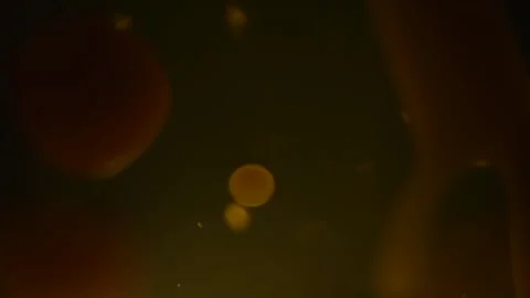 Close-up of an orange lava lamp in the dark. Abstract Composition. Stock Footage 146366167