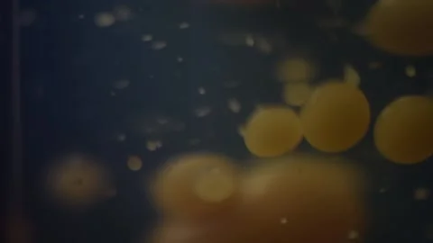Close-up of an orange lava lamp in the dark. Abstract Composition. Stock Footage 146366375