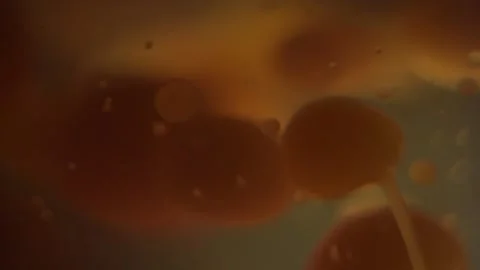 Close-up of an orange lava lamp in the dark. Abstract Composition. Stock Footage 146366713