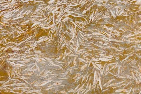 Close up of orange marble texture. Stock Photos