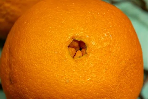 A close-up of an orange Stock Photos