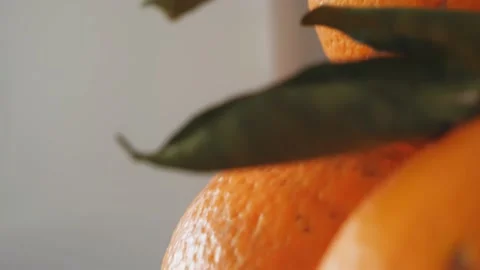Close up oranges Stock Footage 162633943