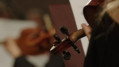 Close Up Of Orchestra Violin Playing Stock Footage 206543336