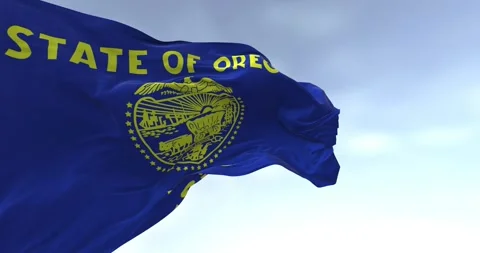 Close-up of the Oregon state flag waving Stock Footage 255416975