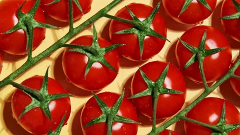 Close up organic cherry tomatoes. Ripe small red tomato on a branch. Stock Footage 145272639