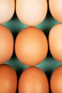 Close up organic eggs Stock Photos