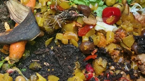 Close-up of organic kitchen scraps like vegetables, fruit, and plant waste in Video stock 336401934