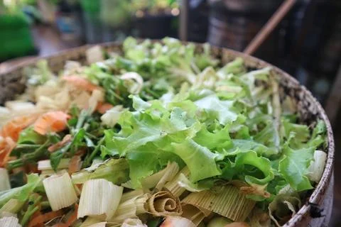 Close up of organic kitchen vegetable scraps collected for composting. Stock-Fotos