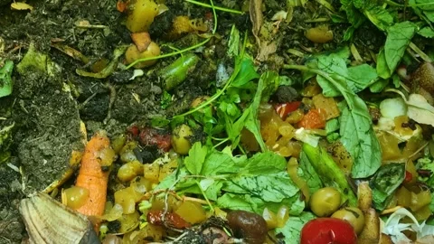 Close-up of organic leftovers in a home compost bin, showing biodegradable Stock Footage 337101715