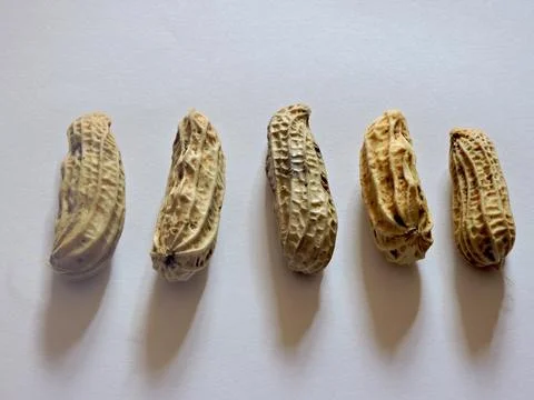 Close-Up of Organic Peanut Shells in a Row Stock Photos
