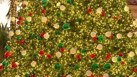 Close Up Of Ornate Christmas Tree Beside Tropical Palm Fronds Stock Footage 338322580
