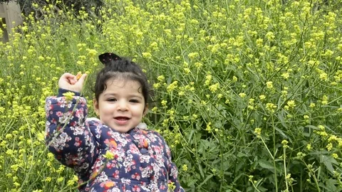 Close-up ortrait of a child inside Canola filed touching an playing with cano Stock Footage 106922764