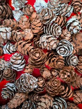 Close up os small pine cones on red plate christmas decor background Stock Photos