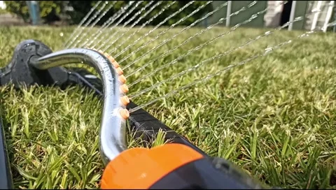 Close up of an oscillating lawn sprinkler spraying water on fresh green grass Stock Footage 339171789