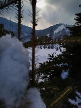 Close-up of out-of-focus snowy pine branches in the foreground framing a Stock Photos