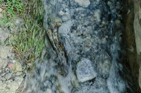 Close up an outbreak of water, small waves of water on a river of fresh. Stock Photos