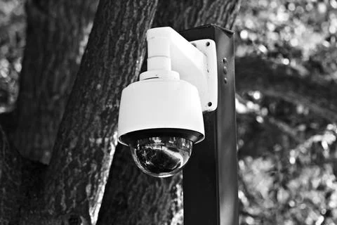 Close-up of an outdoor dome security camera mounted on a pole Photos