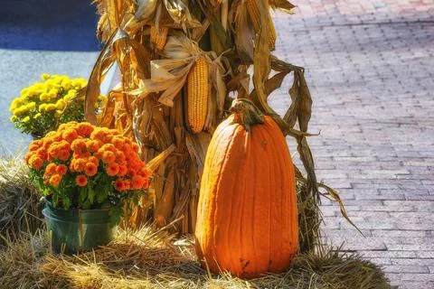 Close up of outdoor Fall Décor Stock Photos