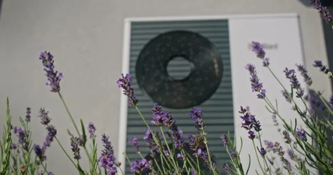 Close-up of an outdoor heat pump unit with lavender plants and a butterfly in Stock Footage 283982925