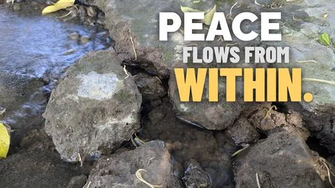A close up outdoor perspective displays smooth clear natural stream water f.. Stock Photos