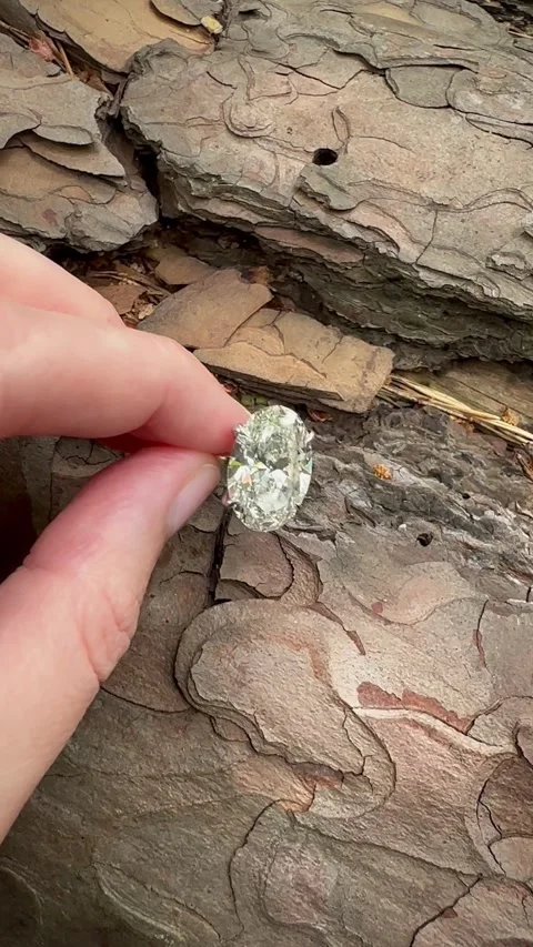 Close up oval diamond ring in hands against rustic tree bark, vertical video. Stock Footage 315342681