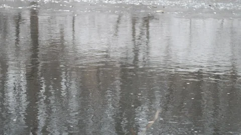 Close up over river running with trees reflected desolate Stock Footage 104311197