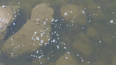 Close Up Over River Water Flowing Above Dirty Rocks Within the Moving River Stock-Footage 200310059