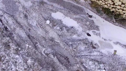 Close overfly shot of a pile of logs by a clearcut logging site in late autumn Stock Footage 70556177