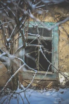 Close up overgrown branches in front of abandoned house with broken window co Фото