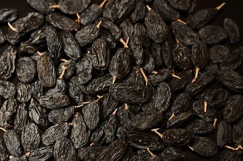 Close-up overhead view of dried dark blue raisins with stems as a texture Stock Photos