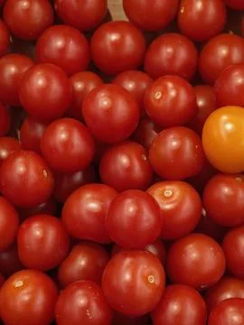 Close up overhead view of glossy red tomatoes packed tightly together with .. Stock Photos