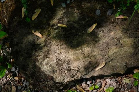 A close-up overhead view of a large rough rock surface Stockfoto's
