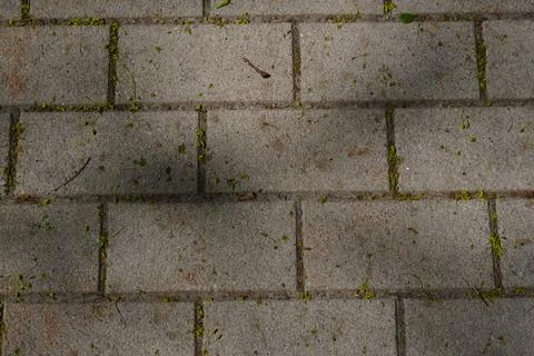 A close-up overhead view of a paved walkway made of rectangular concrete blocks Фото