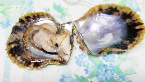 Close up of oyster on half shell. Stock Footage 303370055