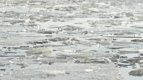 Close up of pack ice at river delta in sunny spring day Stock-Footage 147086867