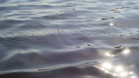Close-up paddle, drops of water, rowing boat on a forest lake on summer day. Stock-Footage 128500438