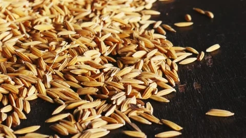 Close-up paddy on wooden background 動画素材 141995129