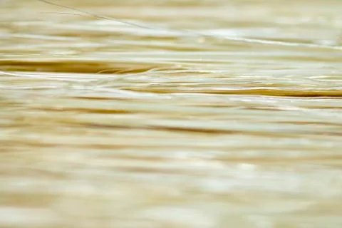Close up of a paint brush Stock Photos