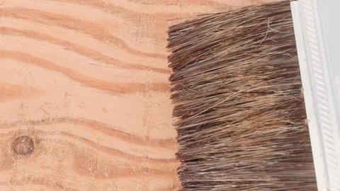 Close-up of paint protection paint applied to wood texture with a brush. Stock Footage 157749498