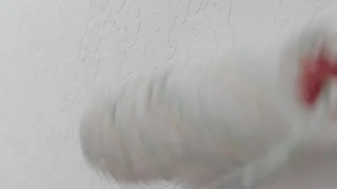 Close-up of a paint roller smoothly applying white paint on textured wallpa.. Stock Footage 309475808