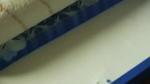 Close up of paint roller soaking primer liquid in plastic tray Stock Footage 340404025