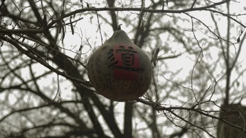 Close Up of Painted Gourd Hanging from Tree Branch in 798 Art District Beijing Stock Footage 341714762