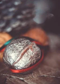 Close-up of a painted silver nut with red and green ribbon on a dark backgrou Stock Photos