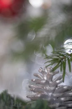 Close-up of a painted silver pine cone on a christmas tree on a dark backgrou Stock Photos