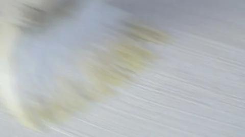 Close-up painter paints floor or table in white using brush, home repair Stock Footage 149068099