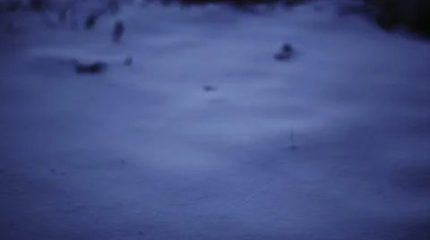 Close up of a pair of boots walking through snow at night Stock Footage 44021231