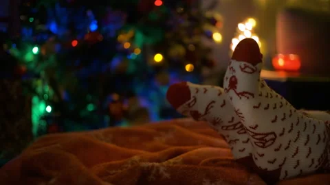 Close-up of a pair of legs in christmas socks next to a Christmas tree. Stock Footage 166378738