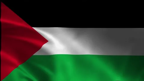 Close-up of the Palestine flag fluttering in the wind. National flag of Gaza Stock Footage 281079872