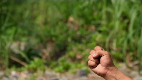 Close up of palm therapy by opening and closing Stock Footage 323041676